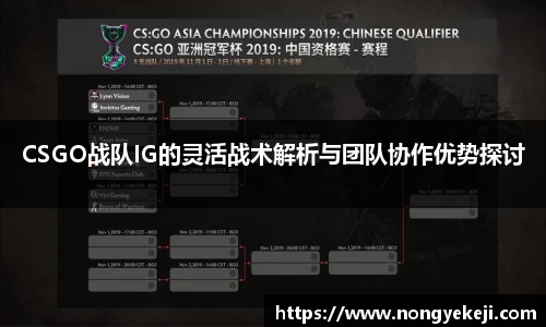 CSGO战队IG的灵活战术解析与团队协作优势探讨